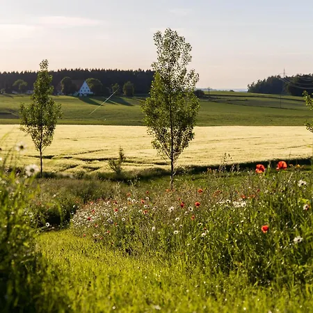 Hotel Hotel-landgasthof Kreuz